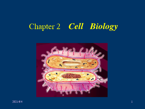 华中农业大学微生物学第二章PPT课件