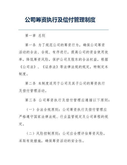 公司筹资执行及偿付管理制度