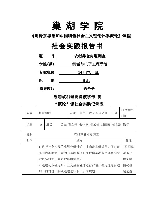 农村养老问题实践报告