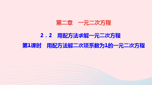 九年级数学2用配方法求解一元二次方程第1课时用配方法解二次项系数为1的一元二次方程新版北师大版