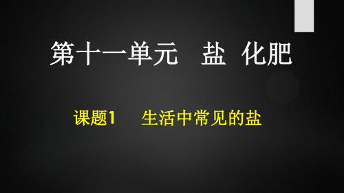 11.1生活中常见的盐