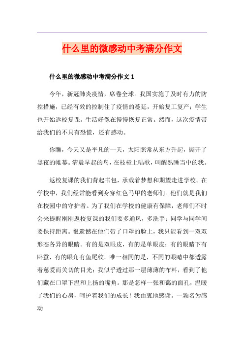 什么里的微感动中考满分作文