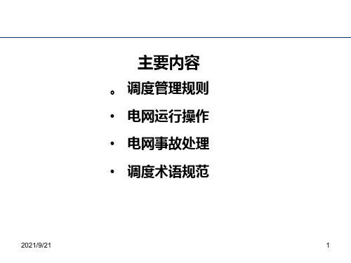 XXXX年聚龙电力系统调度运行专业培训班资料