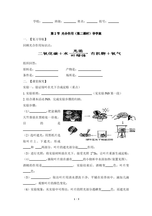 北师大版七年级生物上册_《光合作用》第二课时名师学案