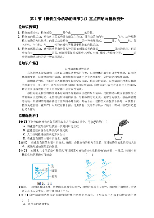 第1节《植物生命活动的调节(1)》重点归纳与精析提升