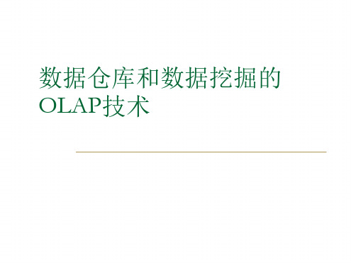 2数据仓库和数据挖掘的OLAP技术浙大_王灿