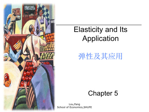 Elasticity and Its Application弹性及其应用