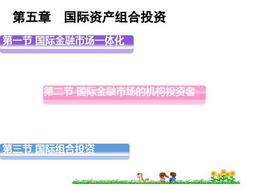 第五章国际资产组合投资-文档资料