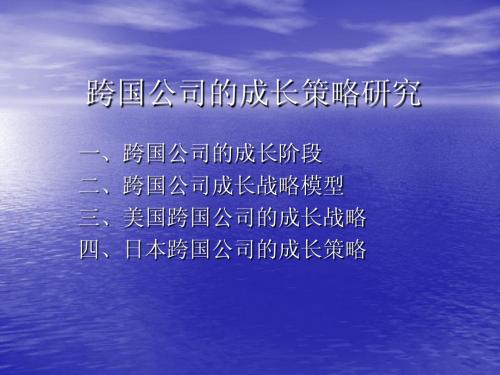 跨国公司的成长策略研究