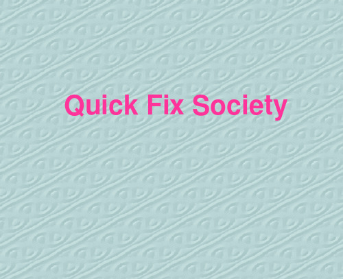 Introduction quick fix society