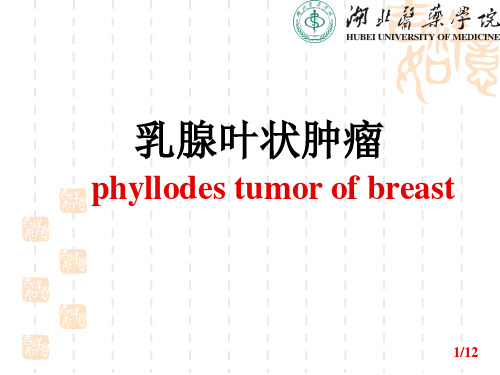 乳腺叶状肿瘤PPT