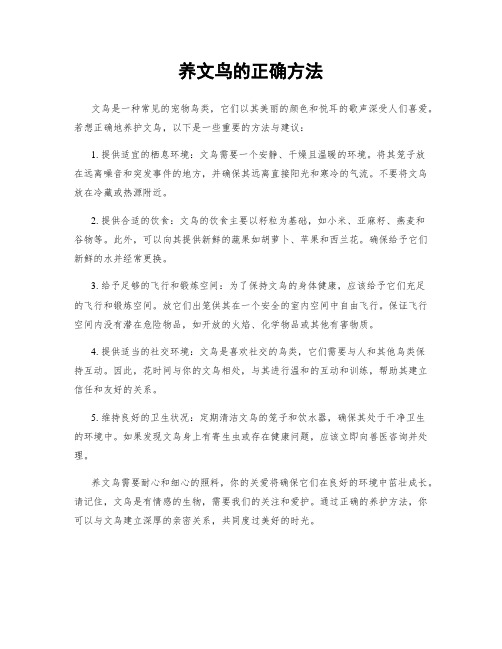 养文鸟的正确方法