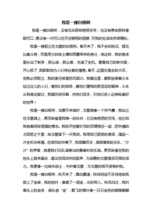 六年级作文：我是一棵白杨树作文800字