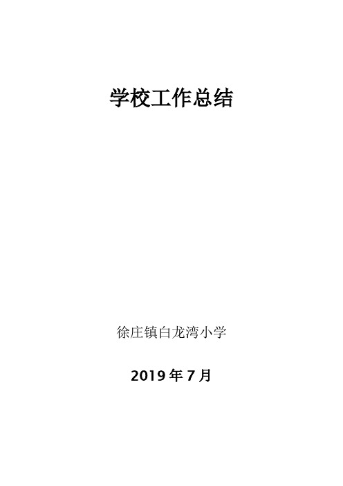 学校工作总结2019-7