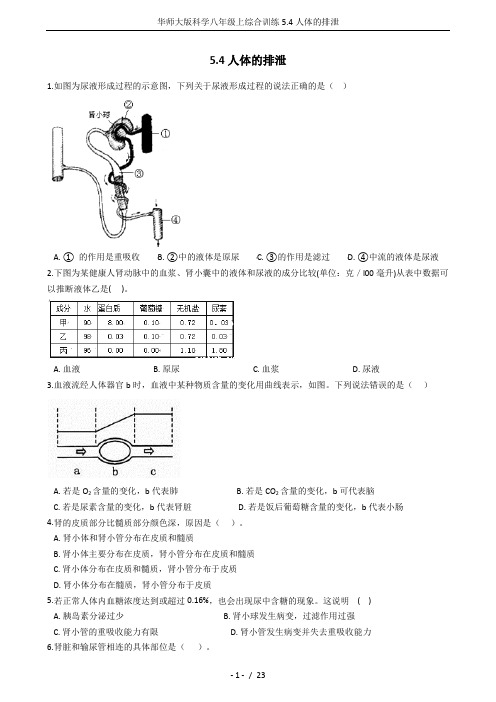 华师大版科学八年级上综合训练5.4人体的排泄