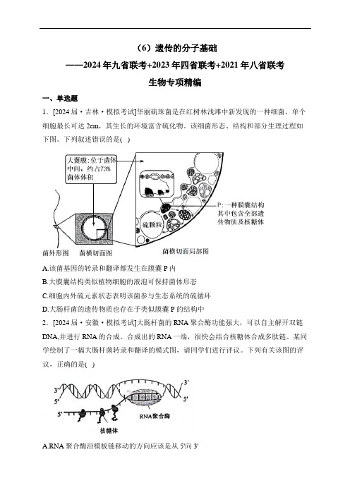 (6)遗传的分子基础——2024年九省联考+2023年四省联考+2021年八省联考生物专项精编