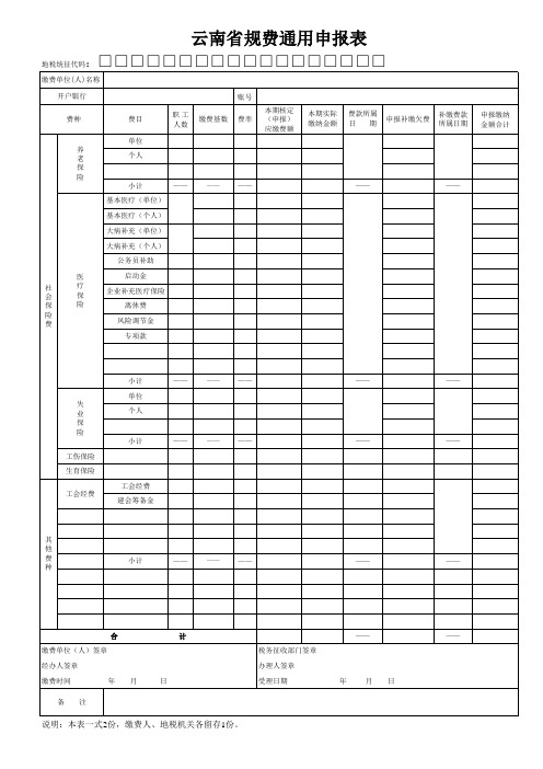 云南省通用规费申报表