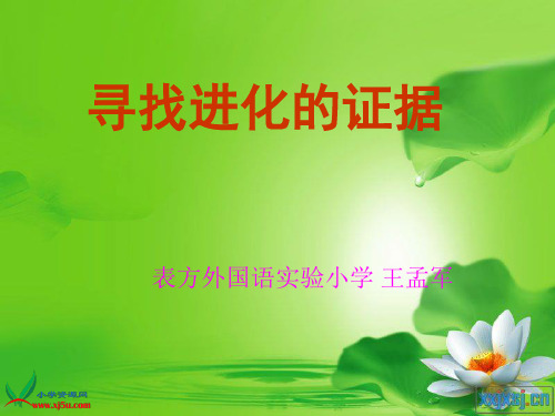 冀教小学科学五下册《11寻找进化的证据》ppt课件 (2)