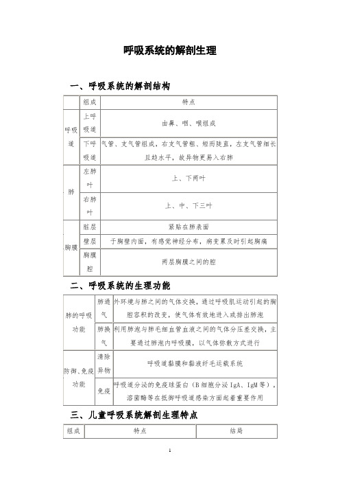 呼吸系统的解剖生理