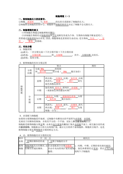 新人教版高中生物必修1《细胞增殖(一)》知识点整理