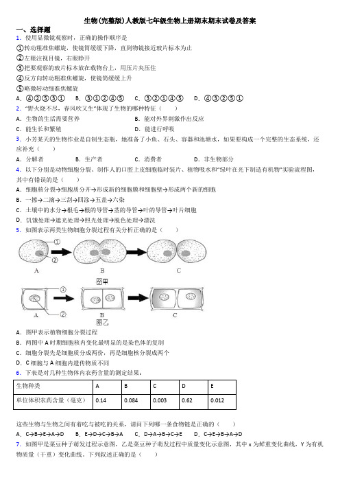 生物(完整版)人教版七年级生物上册期末期末试卷及答案