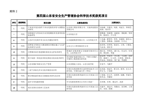 山东安全生产管理协会科学技术奖获奖项目-山东安监局