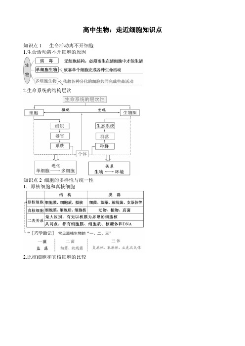 高中生物：走近细胞知识点