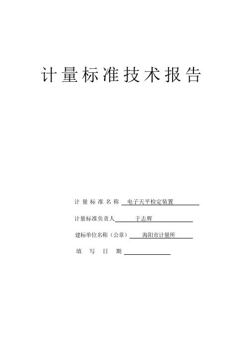 电子天平检定装置技术报告