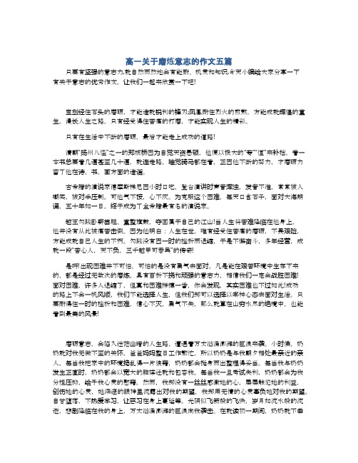 高一关于磨炼意志的作文五篇