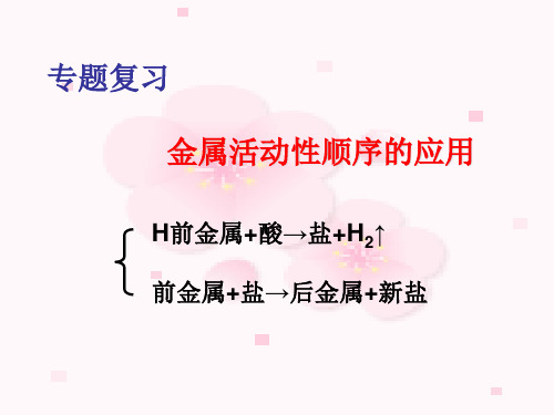 2023年中考化学专题复习---金属活动性顺序的应用