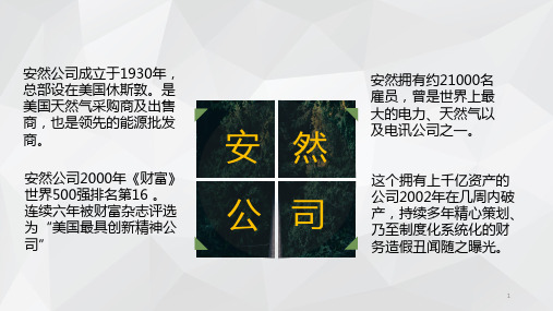 关于安然公司财务造假的审计案例分析