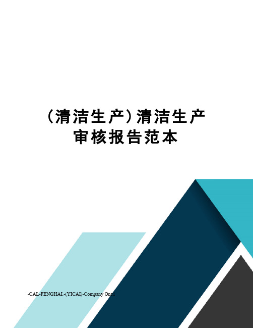 (清洁生产)清洁生产审核报告范本