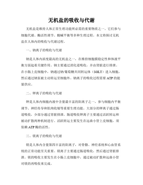 无机盐的吸收与代谢