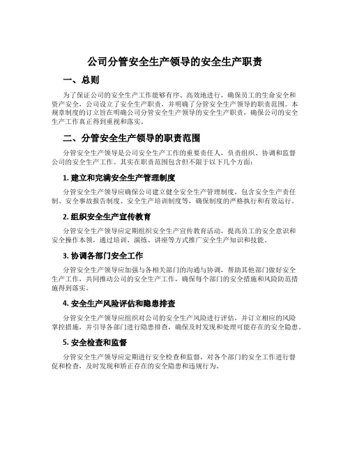 公司分管安全生产领导的安全生产职责