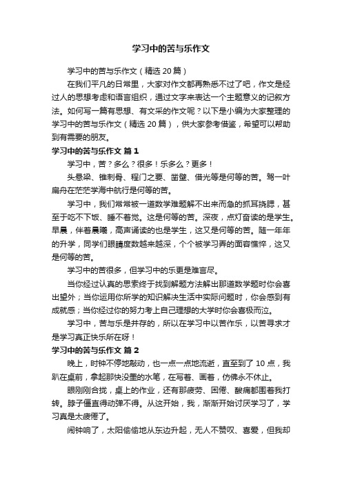 学习中的苦与乐作文（精选20篇）