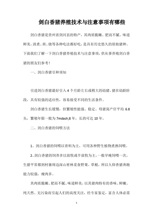 剑白香猪养殖技术与注意事项有哪些