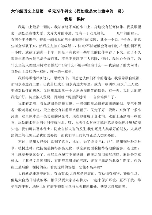 人教版小学六年级语文上册习作范文