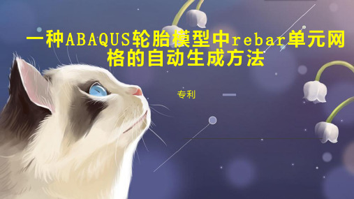 一种ABAQUS轮胎模型中rebar单元网格的自动生成方法