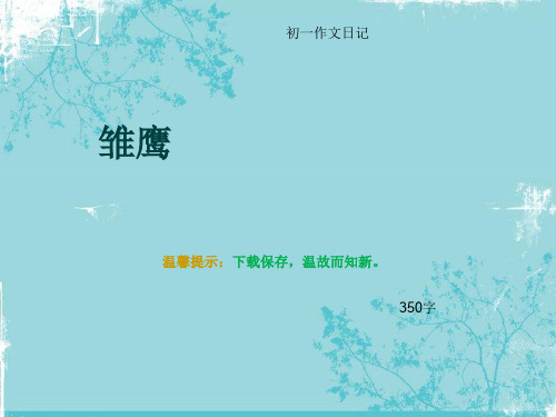 初一作文日记《雏鹰》350字