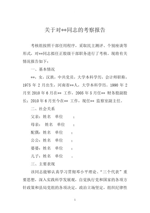 关于对某某同志的考察报告