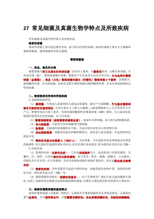 27 常见细菌及真菌生物学特点及所致疾病