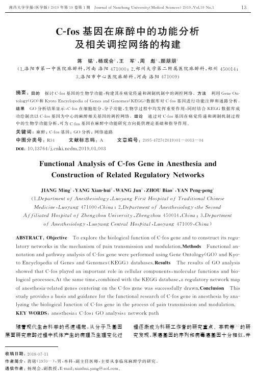 Cfos基因在麻醉中的功能分析及相关调控网络的构建