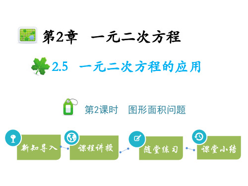 湘教版九年级上册数学教学课件 第2章一元二次方程 一元二次方程的应用 第2课时图形面积问题