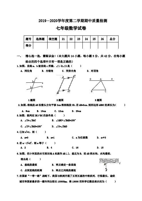 河北省石家庄市红星学校2019-2020学年七年级下学期期中考试数学试题