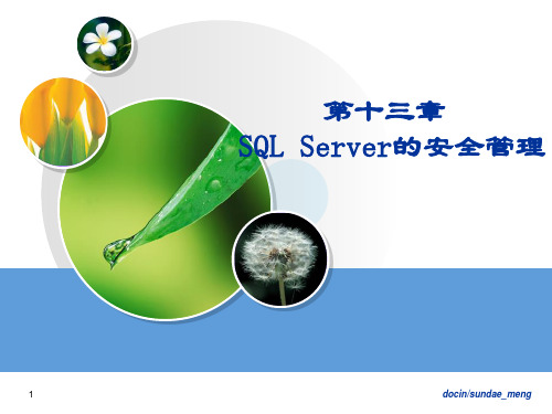 SQL Server的安全管理