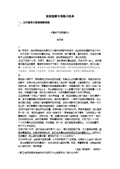 五年级阅读理解专项练习经典