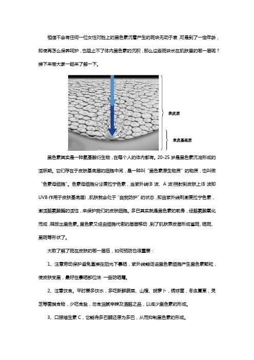 斑长在皮肤哪一层