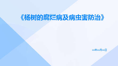 杨树的腐烂病及病虫害防治