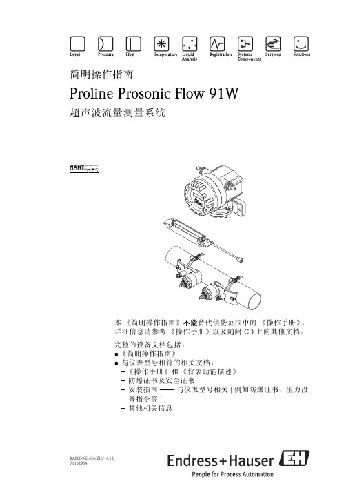 Proline Prosonic Flow 91W 简明操作指南