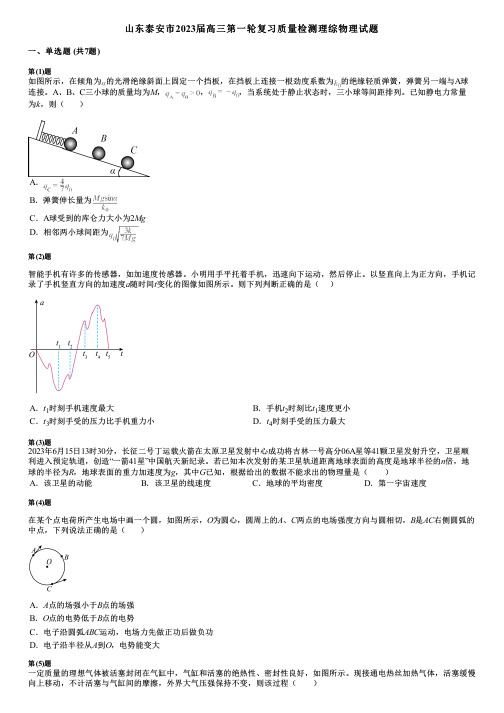 山东泰安市2023届高三第一轮复习质量检测理综物理试题